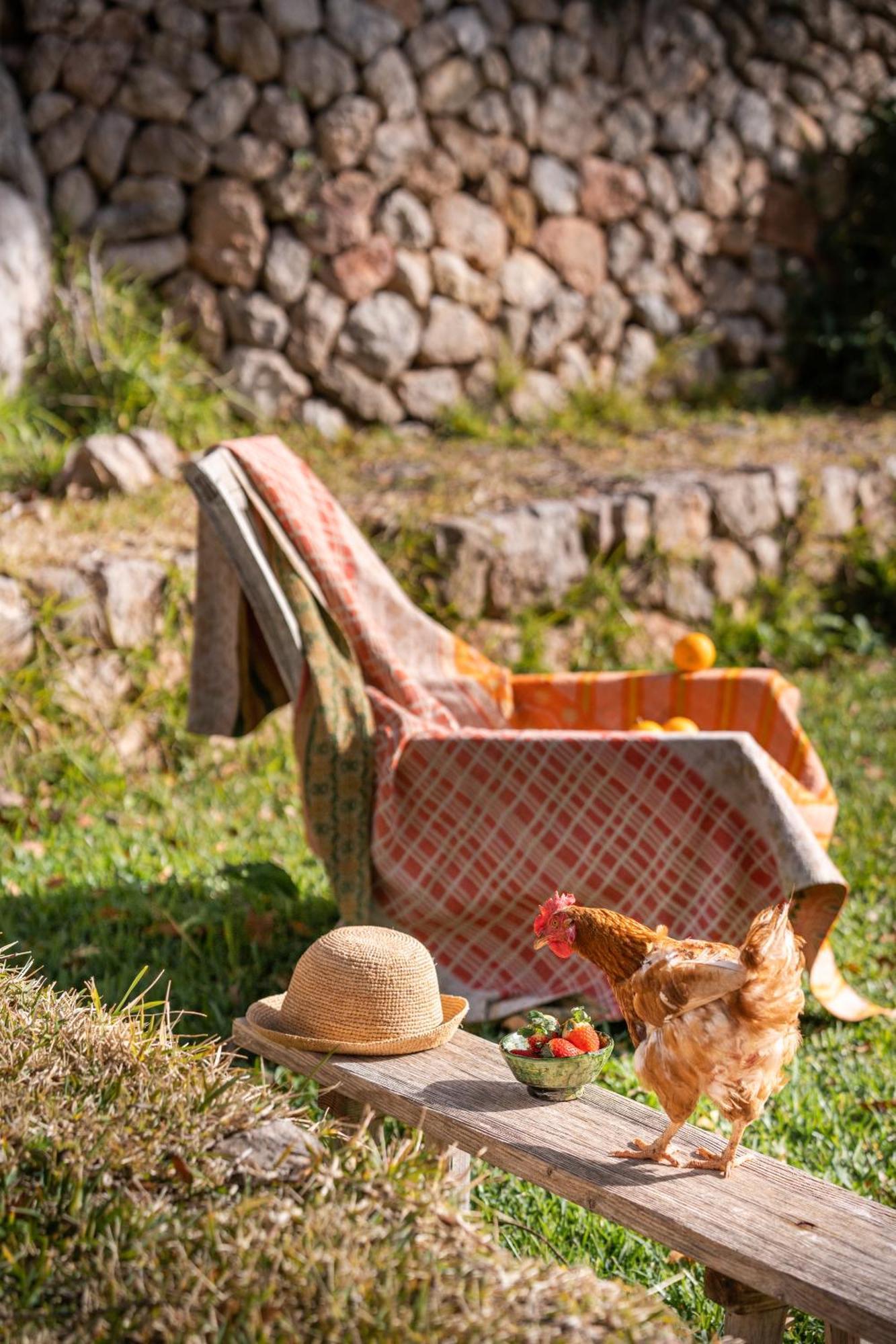 Son Viscos Country house *
